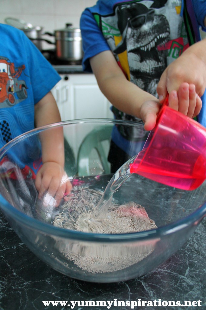 Cooking With Kids Chocolate Chia Cake