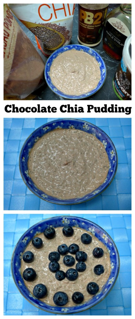 Chocolate Chia Seed Pudding Recipe