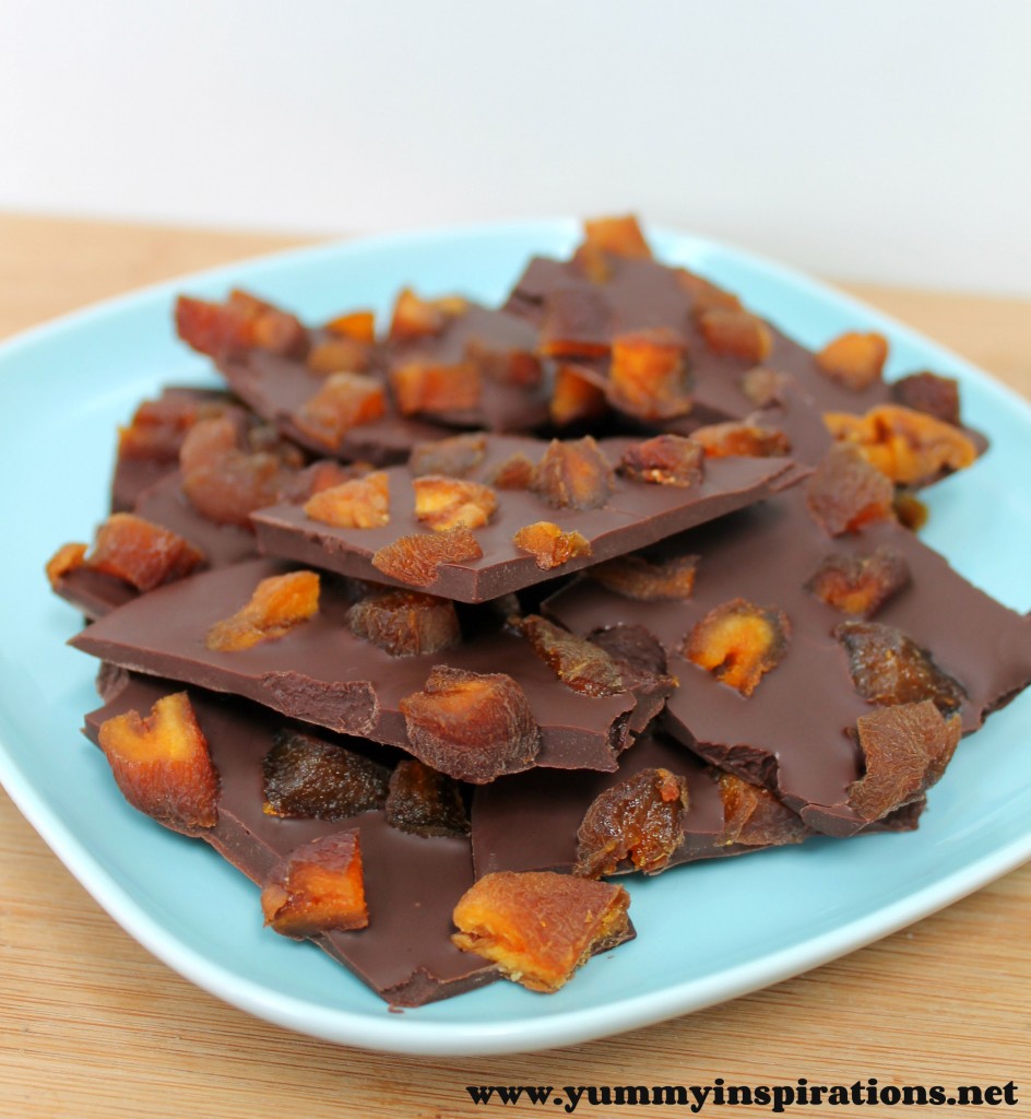 Chocolate & Apricot Bark Recipe