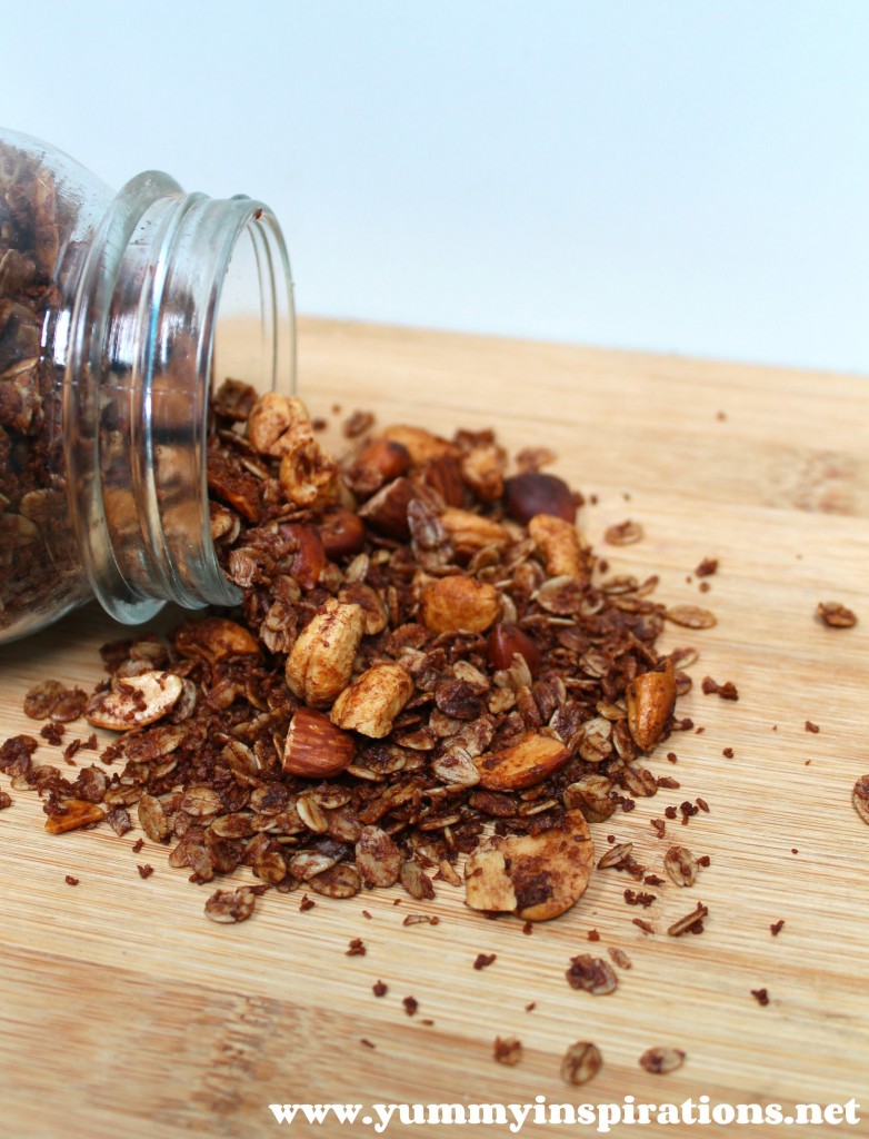 Chocolate Coconut Healthy Granola Recipe