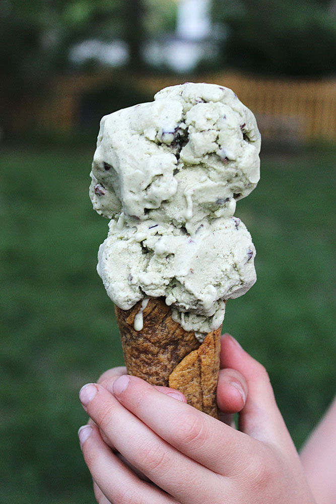 Mint Chip Ice Cream Recipe - Gluten Free, Autoimmune Protocol, Top 8 Allergen Free, and Paleo too!
