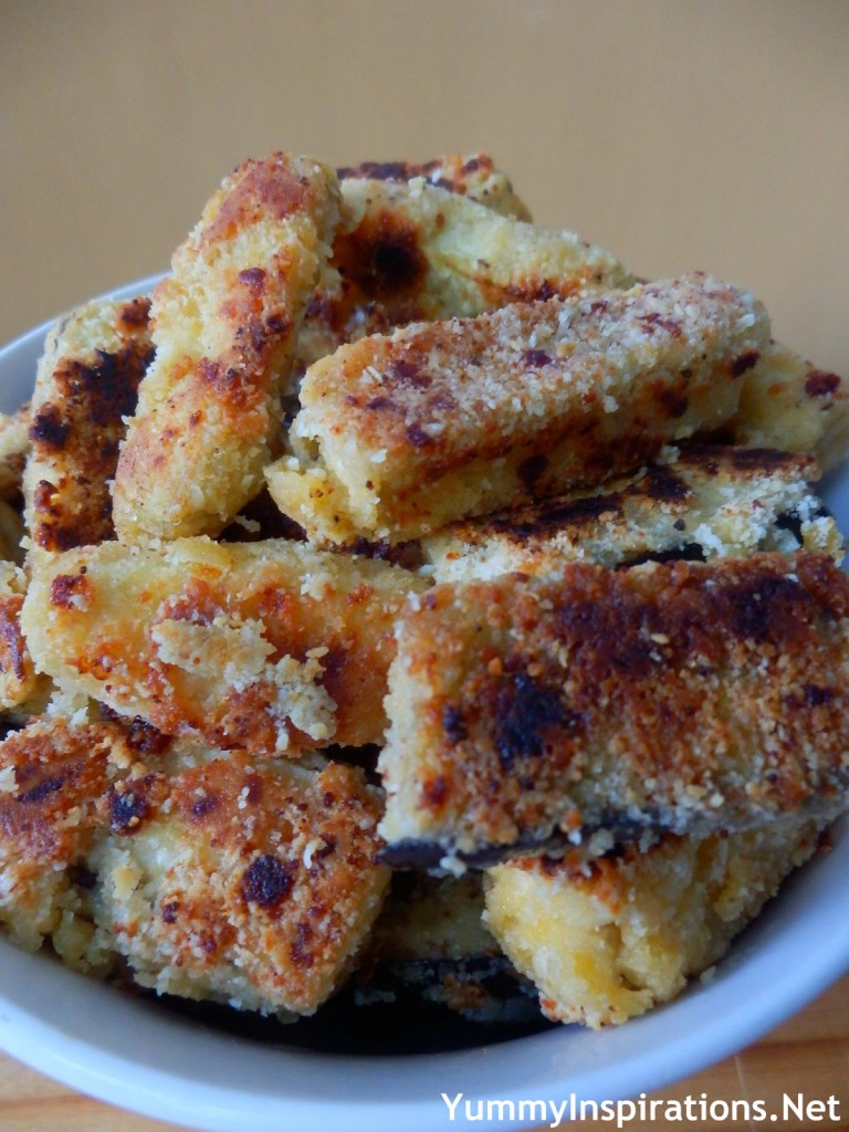 Grain Free Cheesy Eggplant Chips